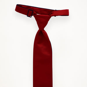 Apple Red Tie